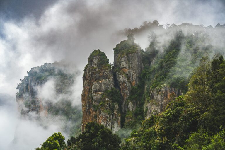7 Must-Visit Locations in Kodaikanal